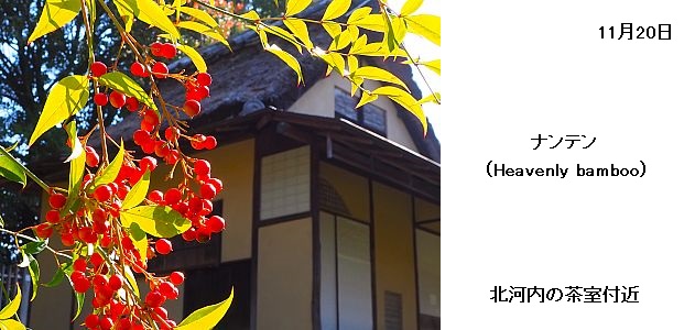 日本民家集落博物館