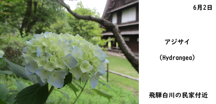 日本民家集落博物館