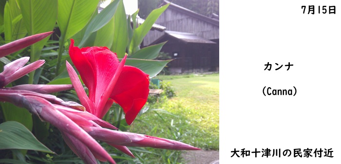 日本民家集落博物館