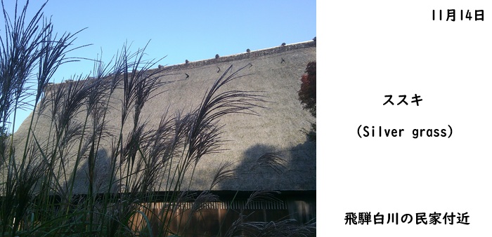 日本民家集落博物館