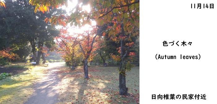 日本民家集落博物館