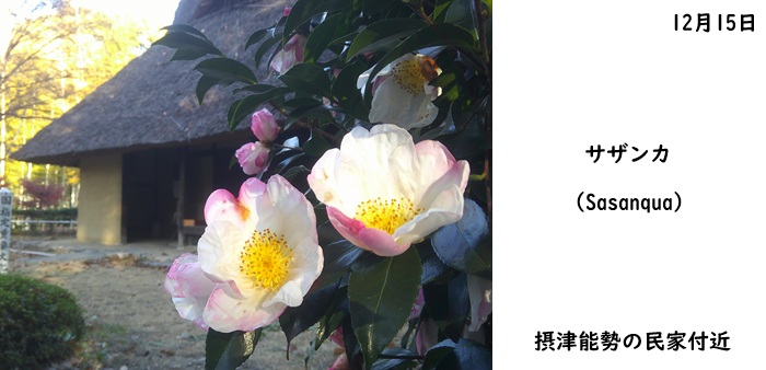 日本民家集落博物館