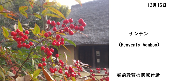 日本民家集落博物館