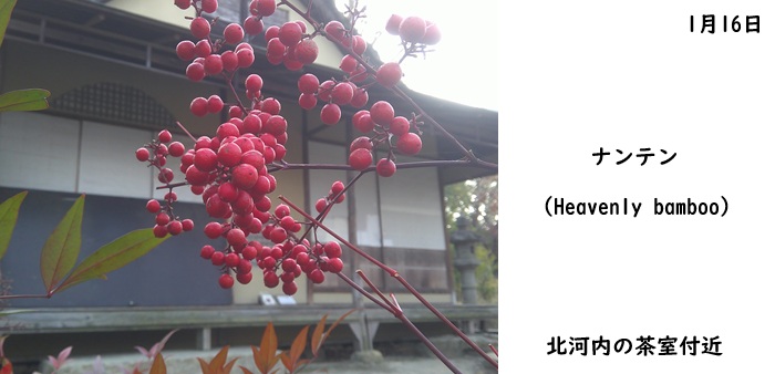 日本民家集落博物館