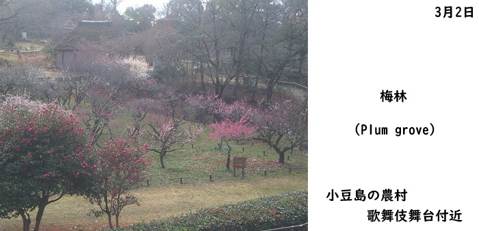 日本民家集落博物館