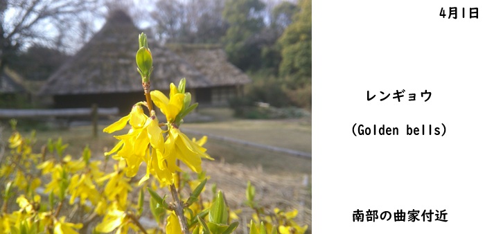 日本民家集落博物館