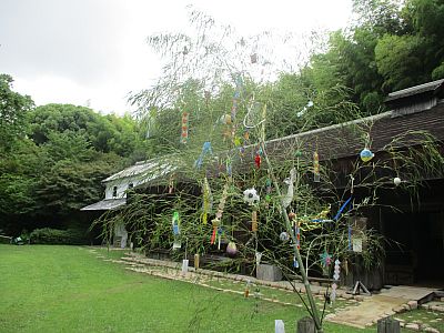 tanabata