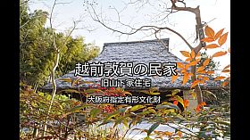 越前敦賀