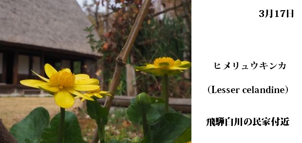 日本民家集落博物館