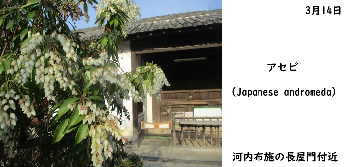 日本民家集落博物館