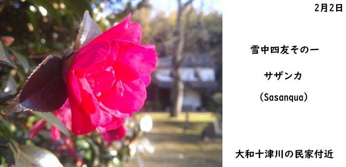 日本民家集落博物館