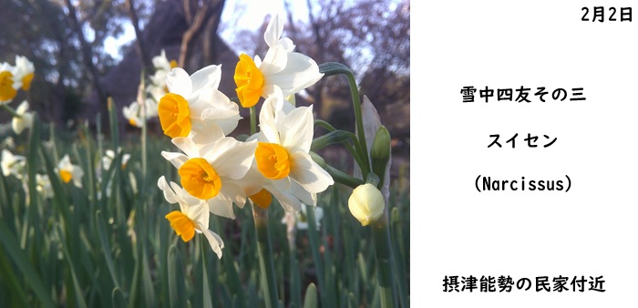 日本民家集落博物館