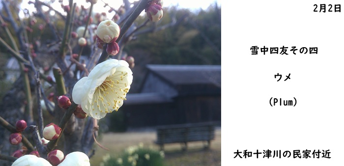 日本民家集落博物館