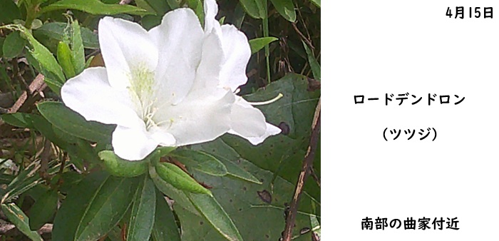 日本民家集落博物館
