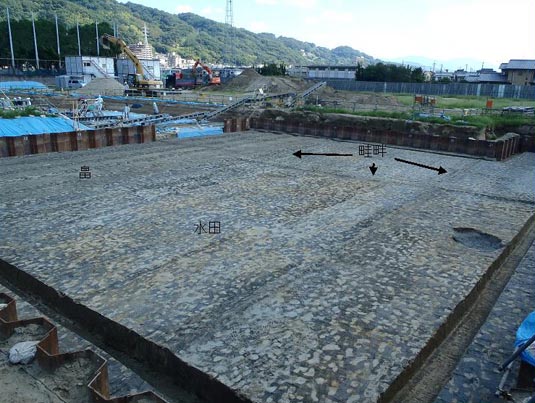 【希望者のみラッピング無料】 文化財調査 大阪府文化財センター - 文化、民俗